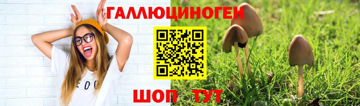 Галлюциногенные грибы GOLDEN TEACHER  Галлюциногенные грибы ЛСД  Воронеж  Вход с VPN 